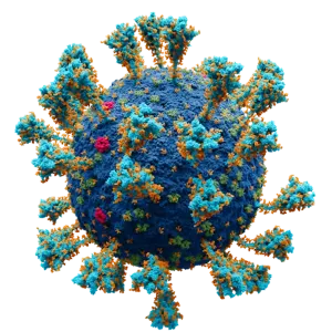 viruses